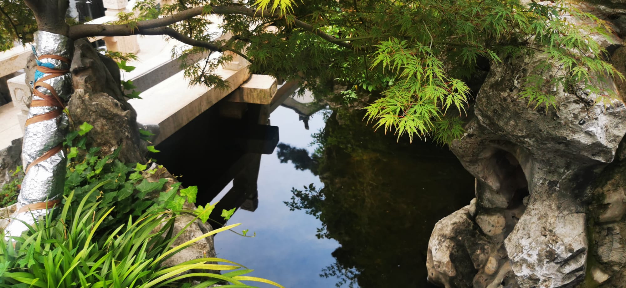 园林景观公司起名